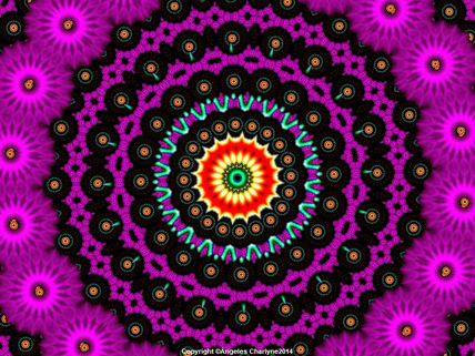 Flor Fuscia