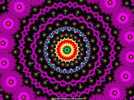 Flor Fuscia