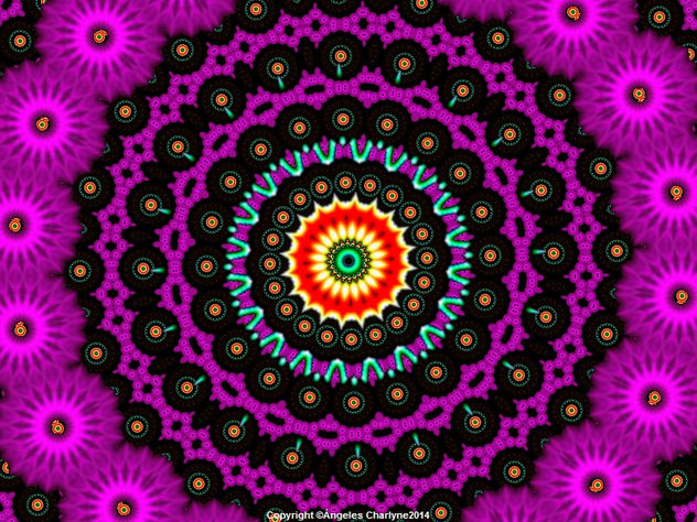 Flor Fuscia