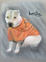 Retrato a pastel de tu mascota