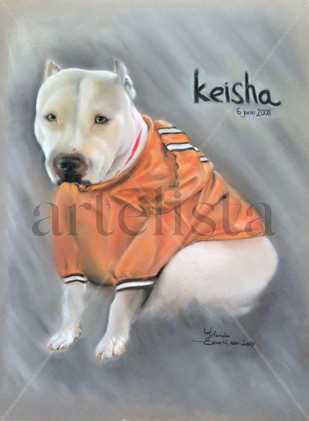Retrato a pastel de tu mascota