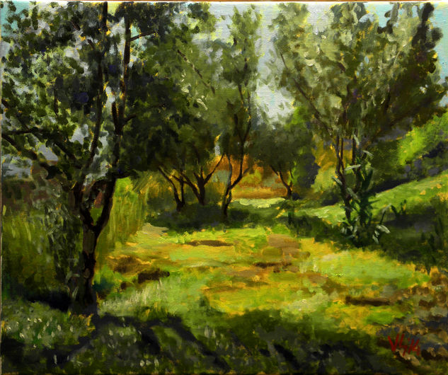 Oliveres al Parc del Guinardó Oil Canvas Landscaping