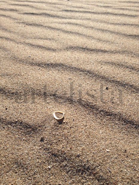 Shell in Sand