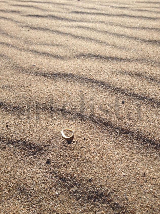 Shell in Sand