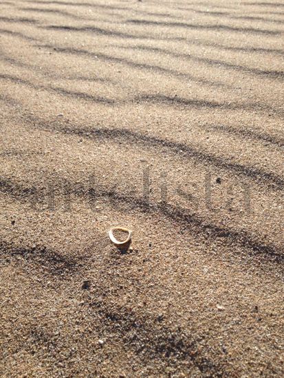 Shell in Sand Conceptual/Abstract Color (Digital)