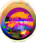 Imagen 10487