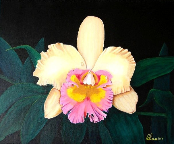 "Orchidglade" Cattleya Orchid Acrylic Canvas Floral Painting