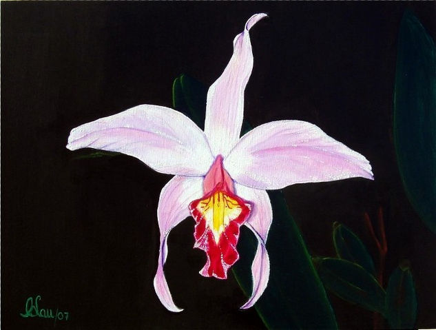 Lilac & Coral Pink "Laelia" Orchid Acrylic Canvas Floral Painting