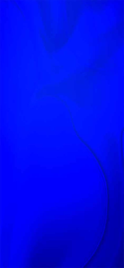Blue macaru
