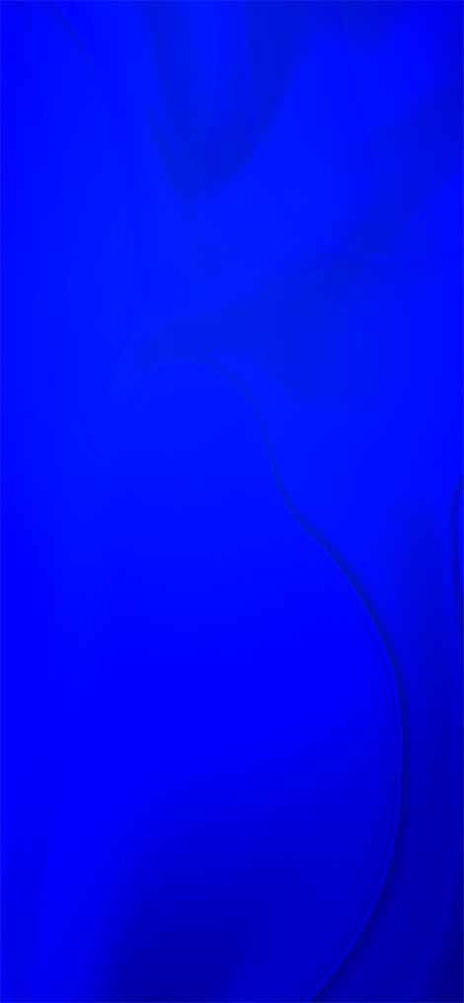 Blue macaru