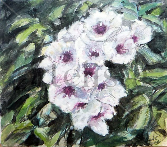 BIGNONIA