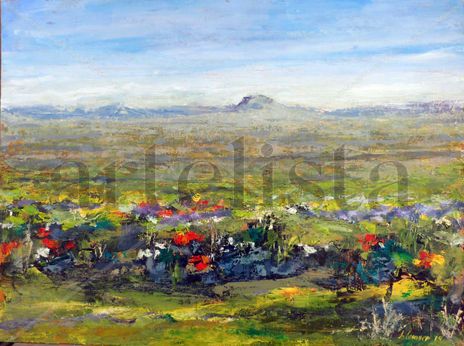 Paramo