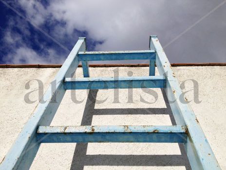Elevado