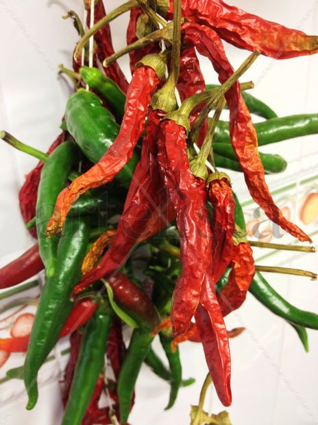 Picante
