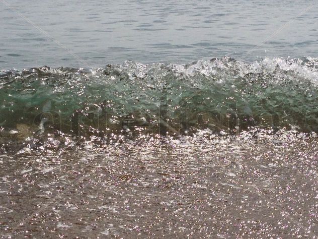 WAVE