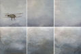 EL ULTIMO VUELO