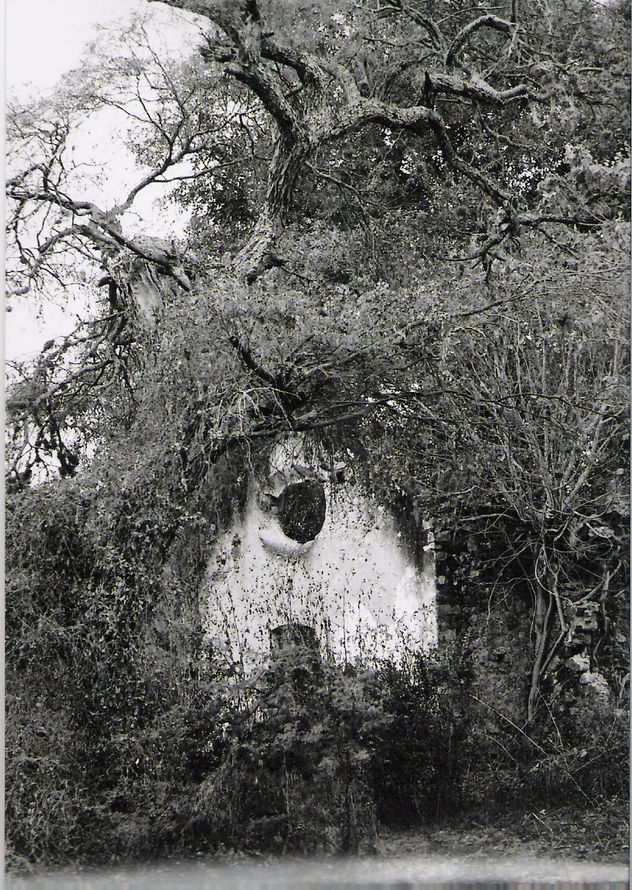 la casa de mis sueños