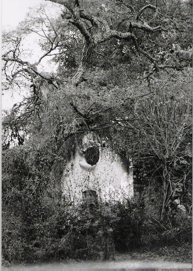 la casa de mis sueños Naturaleza Blanco y Negro (Química)