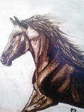 caballo Ink Canvas Animals