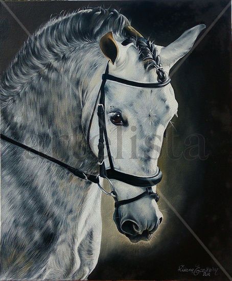 Brujo ll Oil Canvas Animals