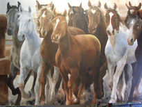 Caballos