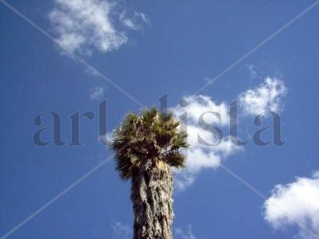 Cielo I