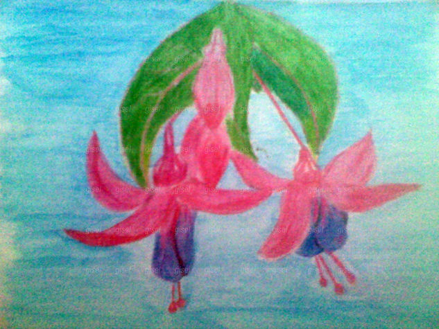 Fucsia Pencil (coloured) Paper Floral Painting