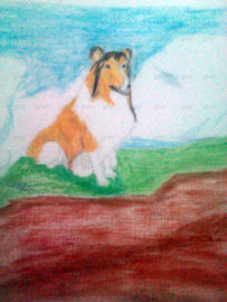 Collie