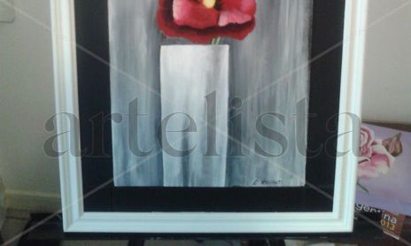 Colección 2013