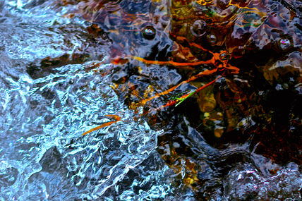 Magic Water 4