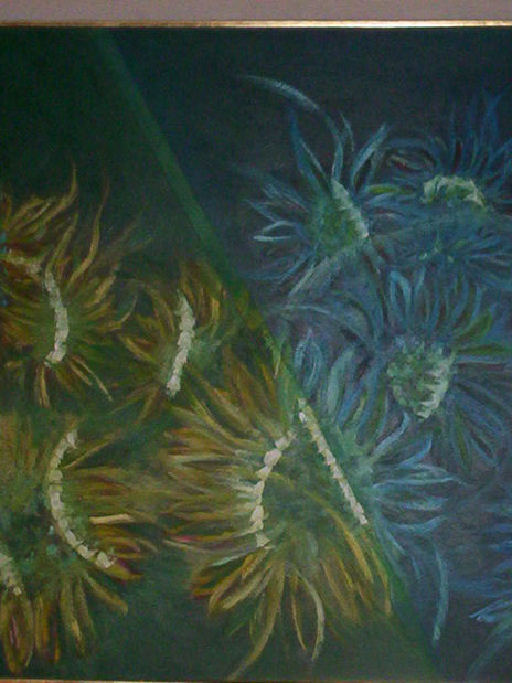 Girasoles
