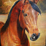 animales thumbnail 1