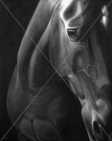 Retrato de Caballo Oil Canvas Animals