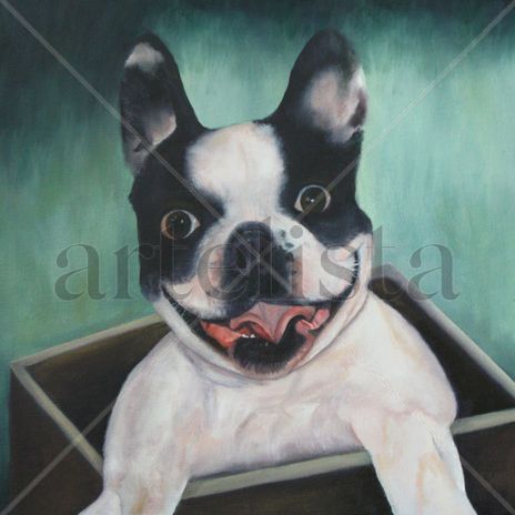 Retratos de animales