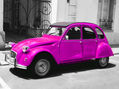 pink car