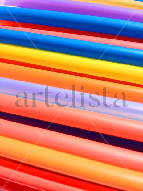 Reed
