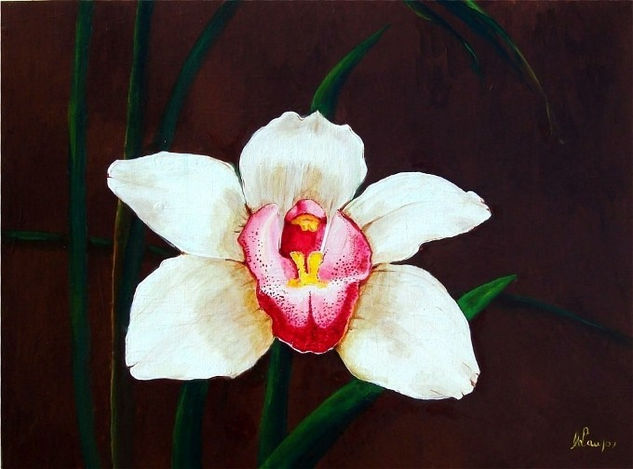 White & Pink "Cynbidium" Orchid Acrylic Others Floral Painting