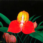 SERIE ORQUIDEAS thumbnail 2