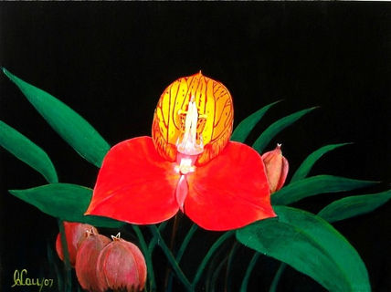 Red & Yellow "Disa...