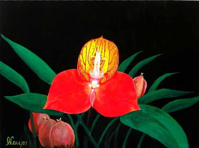 Red & Yellow "Disa Uniflora" Orchid Acrylic Others Floral Painting