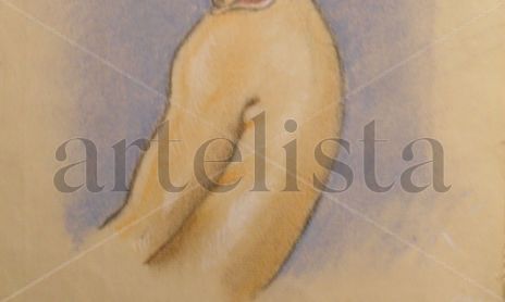 Dibujos de Jorge Porto