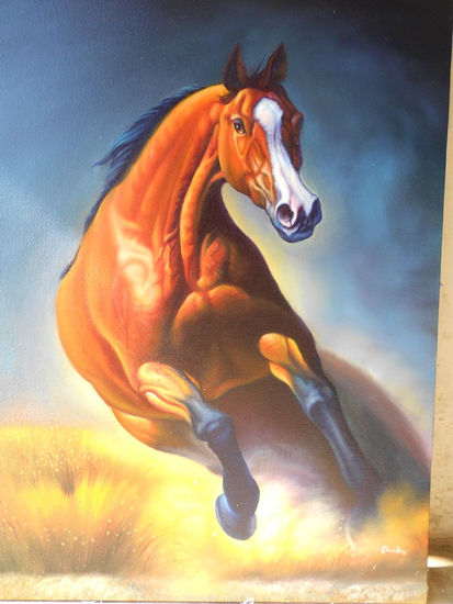 caballo Oil Canvas Animals