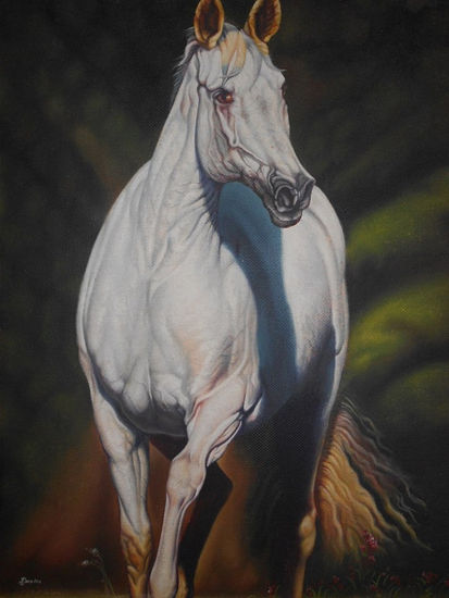 caballo blanco Oil Canvas Animals