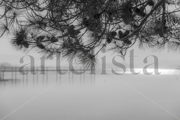 Ria gallega Nature Black and White (Digital)