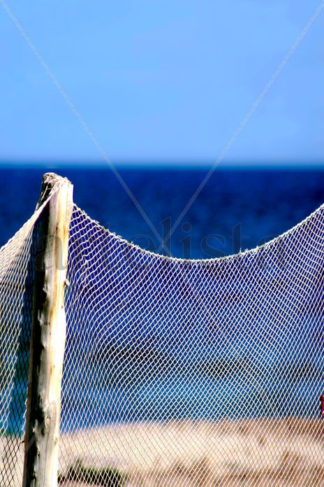 Navy Sea Blue