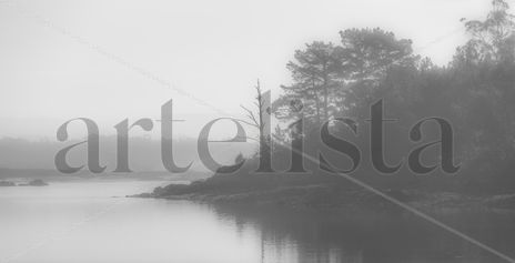 Perdido en la niebla