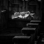 Galicia 2013 thumbnail 1