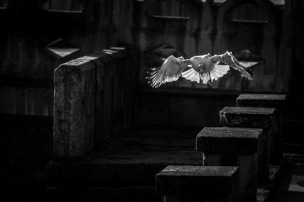 Descenso de los cielos