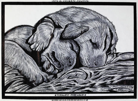 Ternura perruna