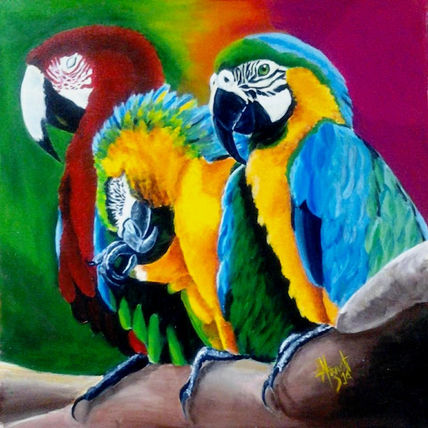 Guacamayos